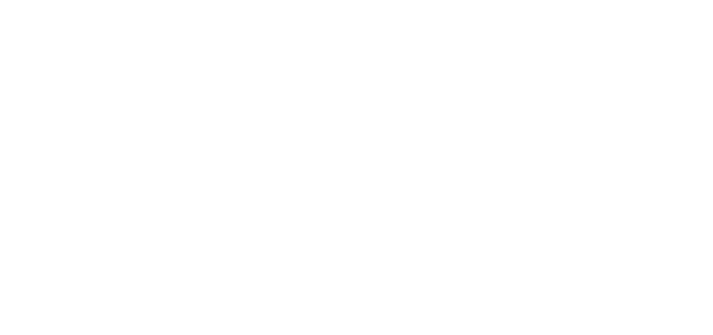 Young Guns